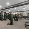 Fitness + Spa